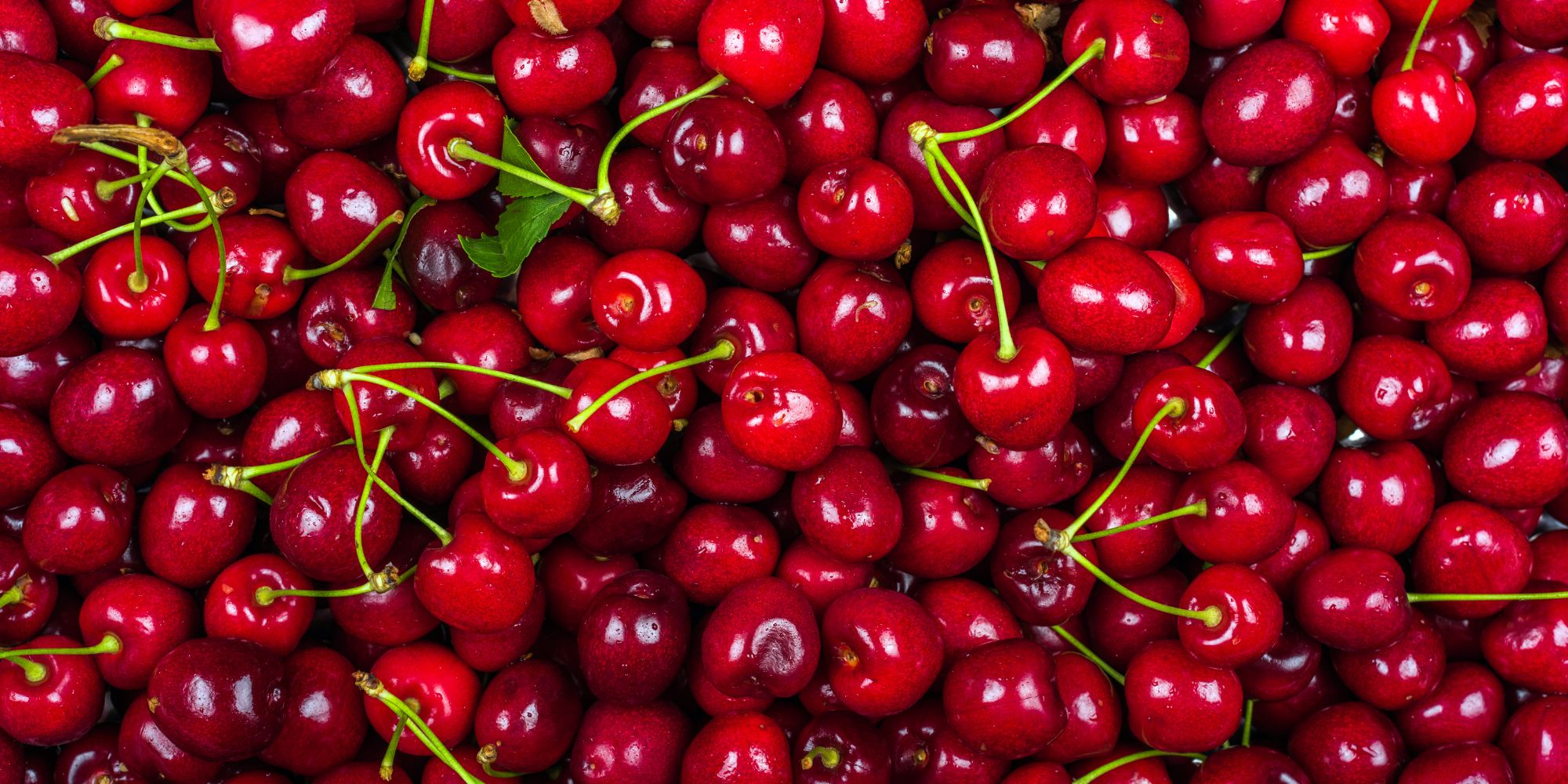 Exportaciones chilenas de cerezas crecen 51 % y enfrentan retos comerciales